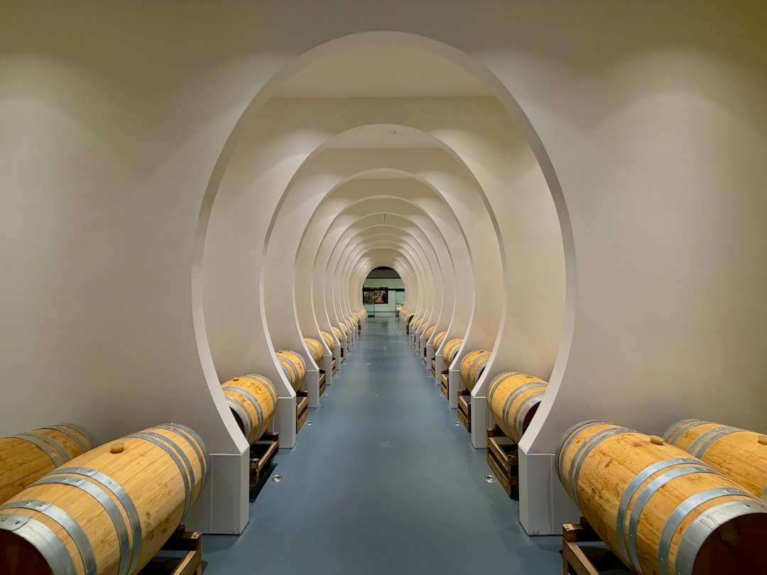 Barris de vinho em fileiras em adega moderna