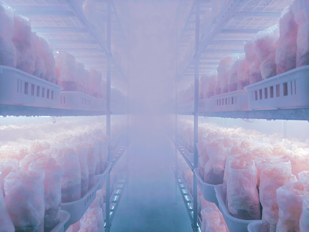 Ambiente controlado de temperatura para armazenagem industrial
